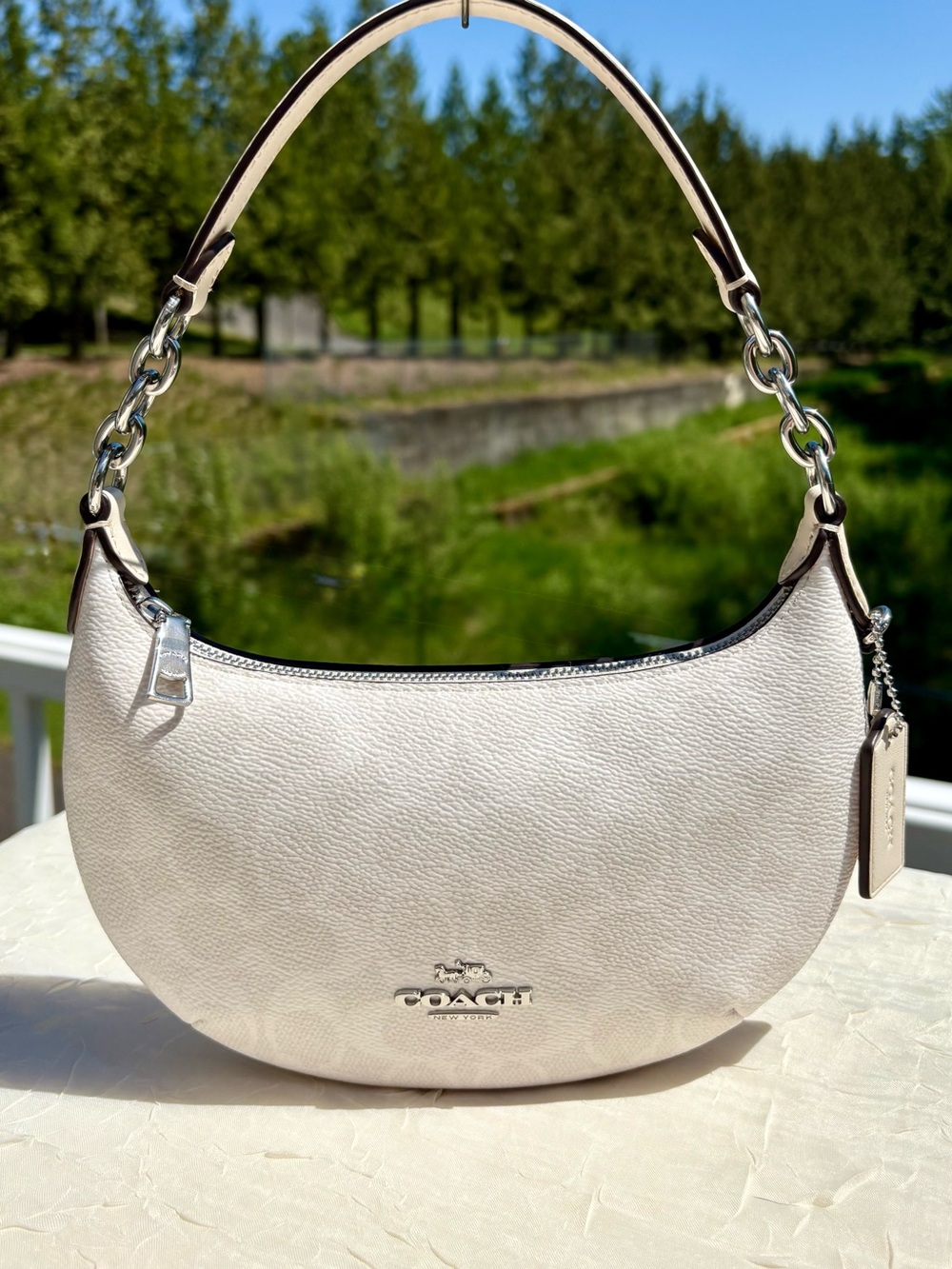 COACH Payton Bag In Signature Canvas CBA79
